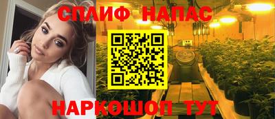 Альфа ПВП Донецк