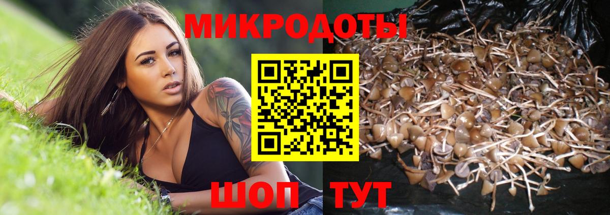 Галлюциногенные грибы Cubensis  продажа наркотиков  Нижневартовск  Вход с VPN  Галлюциногенные грибы Magic Shrooms 